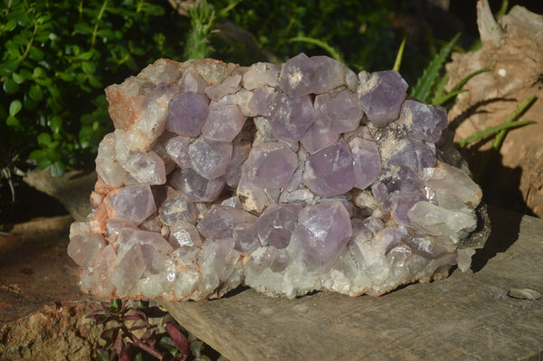 Natural Jacaranda Amethyst Cluster x 1 From Mumbwa, Zambia - TopRock