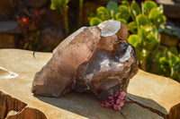 Natural Extra Large Self Healed Smokey Quartz Crystal Cluster  x 1 From Mt. Mulanje, Malawi - TopRock