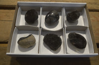 Polished Septaria Nodules x 6 From Mahajanga, Madagascar