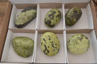 Polished  Spotted Leopard Stone Gallets  x 6 From Zimbabwe