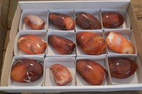 Polished Small Carnelian Agate Standing Free Forms  x 12 From Madagascar