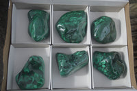 Polished Malachite Free Forms With Stunning Flower & Banding Patterns x 6 From Congo - TopRock