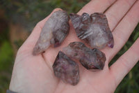 Natural Window Amethyst Crystal Specimens  x 12 From Chiredzi, Zimbabwe