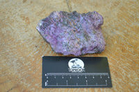 Natural Rough Stichtite (Atlantisite) Specimens  x 5 From Southern Africa - TopRock