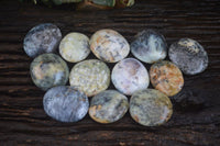 Polished Yellow Dendritic Agate Palm Stones  x 12 From Madagascar - Toprock Gemstones and Minerals 