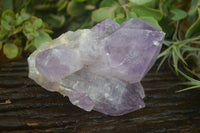 Natural Jacaranda Amethyst Clusters  x 3 From Mumbwa, Zambia - Toprock Gemstones and Minerals 