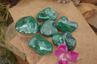 Polished Malachite Free Forms With Stunning Flower & Banding Patterns x 6 From Congo - TopRock