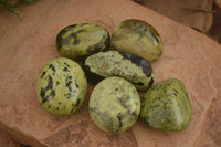 Polished  Spotted Leopard Stone Gallets  x 6 From Zimbabwe