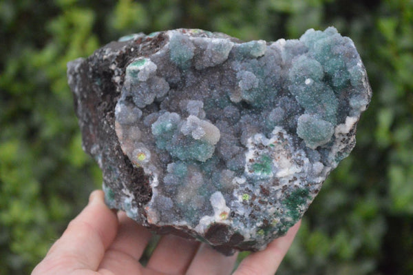 Natural Ball Malachite On Drusy Malachite  x 1 From Likasi, Congo