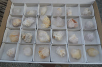 Natural Small Cactus Flower Quartz Specimens  x 24 From Boekenhouthoek, South Africa - Toprock Gemstones and Minerals 