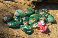 Polished Green Mtorolite / Emerald Chrysoprase Palm Stones  x 12 From Southern Africa - TopRock