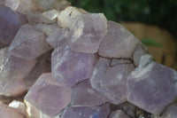 Natural Jacaranda Amethyst Cluster x 1 From Mumbwa, Zambia - TopRock