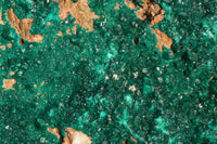 Natural XXXL Exceptional Dioptase Specimen (Second Largest In The World!) x 1 From Tantara, Congo - TopRock