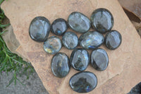 Polished Flashy Labradorite Palm Stones  x 12 From Tulear, Madagascar - Toprock Gemstones and Minerals 