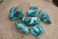 Polished Malacholla (Malachite & Chrysocolla) Free Forms  x 6 From Kulukuluku, Congo - Toprock Gemstones and Minerals 