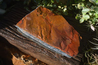 Natural Sliced Tigers Eye Specimen x 1 From Prieska, South Africa - Toprock Gemstones and Minerals 