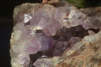 Natural Jacaranda Amethyst Cluster x 1 From Mumbwa, Zambia - TopRock