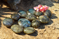 Polished Flashy Labradorite Palm Stones  x 12 From Tulear, Madagascar - TopRock