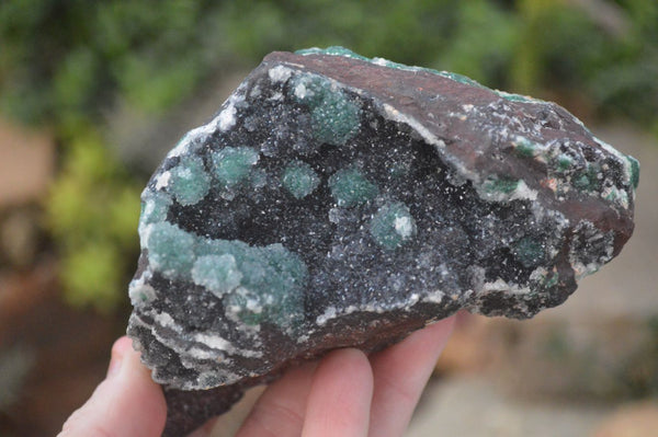 Natural Drusy Coated Ball  Malachite On Dolomite Specimens x 2 From Likasi, Congo