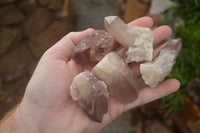 Natural Red Hematoid Quartz Specimens x 24 From Karoi, Zimbabwe - TopRock