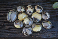 Polished Septerye (Calcite & Aragonite) Palm Stones  x 6 From Mahajanga, Madagascar - Toprock Gemstones and Minerals 