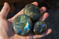 Polished Flashy Labradorite Palm Stones  x 12 From Tulear, Madagascar - TopRock