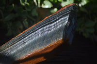 Natural Sliced Tigers Eye Specimen x 1 From Prieska, South Africa - Toprock Gemstones and Minerals 