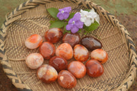 Polished Vibrant Carnelian Agate Palm Stones  x 35 From Madagascar - TopRock