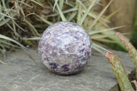 Polished Purple Mica Lepidolite Spheres  x 4 From Madagascar - TopRock