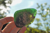 Polished Green Mtorolite / Emerald Chrysoprase Palm Stones  x 12 From Southern Africa - TopRock