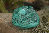 Polished Malachite Free Forms With Stunning Flower & Banding Patterns x 3 From Congo - TopRock