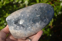 Polished Blue Celestite Standing Free Forms  x 2 From Madagascar - Toprock Gemstones and Minerals 