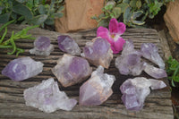 Natural Amethyst Crystal Specimens x 12 From Zambia - TopRock