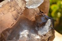 Natural Extra Large Self Healed Smokey Quartz Crystal Cluster  x 1 From Mt. Mulanje, Malawi - TopRock