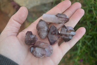 Natural Small Smokey Amethyst Crystals  x 20 From Chiredzi, Zimbabwe - Toprock Gemstones and Minerals 