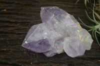 Natural Jacaranda Amethyst Clusters  x 3 From Mumbwa, Zambia - Toprock Gemstones and Minerals 