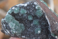 Natural Drusy Coated Ball  Malachite On Dolomite Specimens x 2 From Likasi, Congo