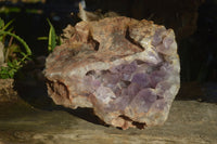 Natural Jacaranda Amethyst Cluster x 1 From Mumbwa, Zambia - TopRock