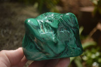 Polished Malachite Free Forms With Stunning Flower & Banding Patterns x 3 From Congo - TopRock