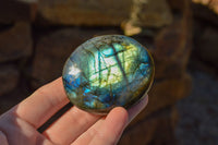 Polished Flashy Labradorite Palm Stones  x 12 From Tulear, Madagascar - TopRock