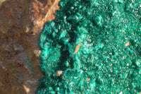 Natural XXXL Exceptional Dioptase Specimen (Second Largest In The World!) x 1 From Tantara, Congo - TopRock