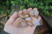 Natural Rare Spirit Ametrine Quartz Crystals  x 35 From Boekenhouthoek, South Africa - Toprock Gemstones and Minerals 