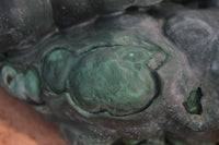 Natural Large Botryoidal Malachite Specimen  x 1 From Kolwezi, Congo