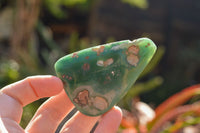 Polished Green Mtorolite / Emerald Chrysoprase Palm Stones  x 12 From Southern Africa - TopRock