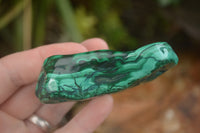 Polished Malachite Free Forms With Stunning Flower & Banding Patterns x 6 From Congo - TopRock