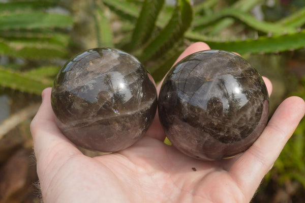 Polished Morion Smokey Quartz Spheres x 3 From Madagascar - TopRock