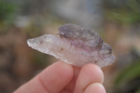 Natural Window Amethyst Crystal Specimens  x 12 From Chiredzi, Zimbabwe