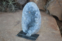 Polished Blue Celestite Standing Free Forms  x 2 From Madagascar - Toprock Gemstones and Minerals 