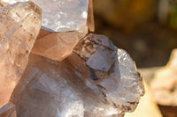 Natural Extra Large Self Healed Smokey Quartz Crystal Cluster  x 1 From Mt. Mulanje, Malawi - TopRock