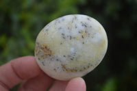 Polished Yellow Dendritic Agate Palm Stones  x 12 From Madagascar - Toprock Gemstones and Minerals 